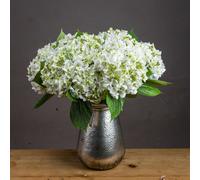 Hill Interiors Uk Homeliving White Lace Cap Hydrangea
