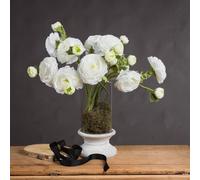 Hill Interiors Uk Homeliving White Ranunculus Spray