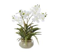 Hill Interiors Vanda Orchid Artificial Potted Plant In White White One Size