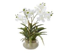 Hill Interiors Vanda Orchid Artificial Potted Plant in White Hill Interiors White
