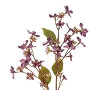 Hill Interiors Vernicia Fordii Artificial Flower Spray in Purple Hill Interiors Purple