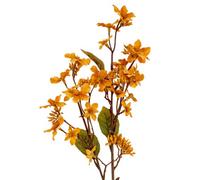 Hill Interiors Vernicia Fordii Artificial Flower Spray in Yellow Hill Interiors Yellow