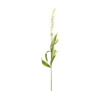 Hill Interiors Veronica Artificial Plant - White/Green - One Size - White/Green