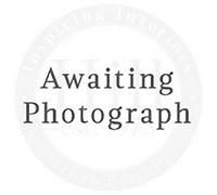 Hill Interiors Washed Wood Framed Beaded Mirror