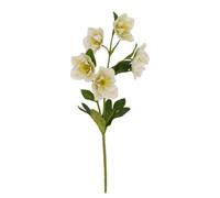 Hill Interiors White Hellebore Stem Artificial Flower - Plastic - H45 Cm - White