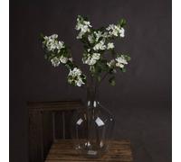 Hill Interiors White Spring Mock Orange Flower