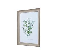 Hill Interiors White Washed Photo Frame - White - White - 16.5in x 11.7in