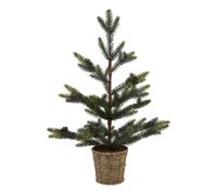 Hill Interiors Wicker Spruce Tree Basket - Green - Green - 61cm x 30cm x 30cm