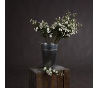 Hill Interiors Wild Meadow Rose Artificial Flower - Fabric/plastic - L15 X W15 X H74 Cm - White