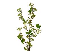 Hill Interiors Wintergreen Artificial Plant in Green Hill Interiors Green