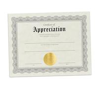 Hill Valley Greetings Certificate of Appreciation - 15 Award Certificates with Gold Foil Embossed Seals