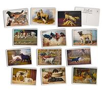 Hill Valley Greetings Vintage Dog Postcards - 24 Antique Dog Postcards - 12 Assorted Puppy Retro Book Illustration Cards Printed on Antique Textured Style Cardstock