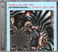 Hillage, Steve - Light In The Sky: Introducing ... Steve Hillage
