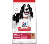 Hill's Science Plan Adult Medium Lamb and Rice Dog Food - 2.5kg