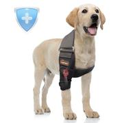Hilltown Dog Elbow Brace for Shoulder & Front Leg, Canine Elbow Wrap for Shoulder Dislocation, Pressure Sores, Elbow Injury and Loss of Stability from Arthritis (XL, Right Leg)