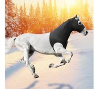 Hilltown Long Horse Slinky Hood with Zipper - UV Block, Mane Protection, Stretch Fabric, Show Prep, Sweat-Wicking and Quick-Dry for Riding, Training & Daily Use (Black, Cob)