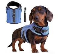 Hilspace Mini Dachshund Harness Vest, No Pull & No Armpit Rub Dachshund Harness, Escape Proof Adjustable Dog Harness for Walking (Blue, M: Chest 42-52cm (16.5"-20.5"))
