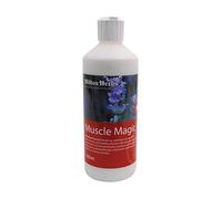 Hilton Herbs Muscle Magic - 500 ml Bottle