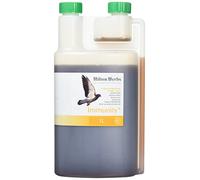 Hilton Herbs Pigeon Immunity Plus 1 Litre