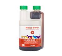 Hilton Herbs Senior Dog Gold - Gold Liquid - 500ml Bottle