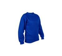 Himalayan H875 Men's 0Gsm Sweatshirt (Royal Blue) (X Small)