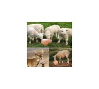 Himalayan Organic Sheep Pet Licking salt pure pink rock chunk 3-5KG