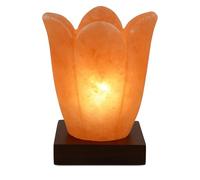 Himalayan Pink Salt Lamp USB - Natural Air Purifier & Ambient Light (Flower shape)
