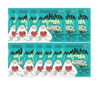 Himalayan Salt Candy (Vajomba Altice Fresh Flavour, 12 Packs x 15g)