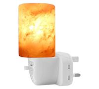 Himalayan Salt Rock Lamp Plug in Night Light Air Purifier Switchable Natural Crystal Mood Light Hand Crafted