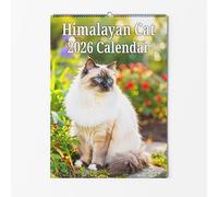 Himalayan Wall Calendar - Choice Of Sizes - A3 Cat Calendar - Cat Lovers Monthly Planner 2026