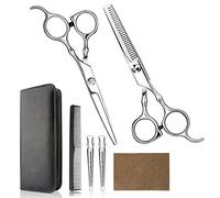 Himart Professional Hair Cutting Scissors Set for Home, Barber Salon, Thinning Scissors Set with Comb and Case for Men/Women (Silver)