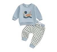Himllauen 2 Pcs Newborn Baby Boys Outfits Dinosaur Print Long Sleeve Round Neck Tops + Elastic Waist Trousers Ribbed Closing Classic Casual Spring Clothing (Blue A, 3-6 Months)