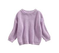 Himllauen Infant Baby Boy Girl Solid Color Sweaters Toddler Kids Long Sleeve Crew Neck Knitted Thick Fall Winter Pullover Unisex Clothes (Purple, 18-24 Months)