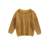 Himllauen Infant Baby Boy Girl Solid Color Sweaters Toddler Kids Long Sleeve Crew Neck Knitted Thick Fall Winter Pullover Unisex Clothes (Dark Beige, 18-24 Months)