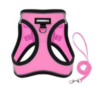 HIMNESEYO No Pull Dog Harness and Leash,Reflective Breathable Lightweight Easy to Put on and Take Off with Safety Buckle for Small Medium Dogs Cats (Pink, XXS)