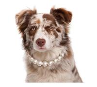 Himscev Luxury Adjustable Dog Pearl Necklace(M 40-45cm)