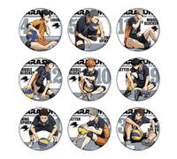 Hinata Shoyo Oikawa Tooru Figure Tinplate Badge, 9 Pieces Haikyu Anime Brooch, 58mm Pencil Bag Pins, Party Favours and Classroom Rewards Set