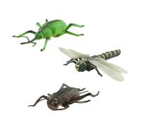 HINAYOSAN Detailed PVC Model 3PCS For Kids Educational STEM Project And Outdoor Nature Observation Classroom Teatching Toy Biology Learning Set