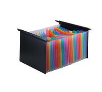 hindraem Easy to Paper Document Folder Large Capacity Expandable File Folder 25 Pocket Organizing Made Simple Expanding Hanging File Accordion with Labels, Colorful