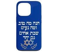 Hinei ma tov uma na’im, shevet achim gam yachad PS 133:1 Case for iPhone 13 Pro