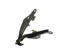 HINGE BONNET FITS: FORD USA MUSTANG MACH-E EV/FIRST EDITION/EV 4X4 I