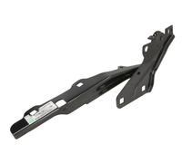 Hinge Hood Left Fits: RAM TRUCK RAM V 05.18-