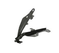 Hinge Hood Right Fits: FORD MUSTANG 07.18-