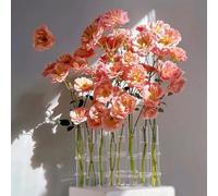 Hinged Flower Vase 8 Crystal Glass Test Tube Desktop Propagation Station for Plant Glass Tubes Hydroponic Vase for Indoor Office Home Garden Decor (8pcs)