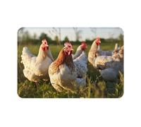 Hingor Farm Chickens Print Highly Absorbent Microfiber Door Mat And Pet Rug (60x40cm), Non Slip Thick Washable Area And Bath Mat Soft For Kitchen Bathroom