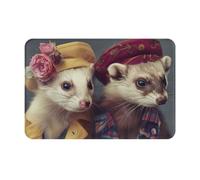 Hingor French Fashion Model Ferrets Print Highly Absorbent Microfiber Door Mat And Pet Rug (60x40cm), Non Slip Thick Washable Area And Bath Mat Soft For Kitchen Bathroom