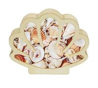 HINGTAI Sea Shell Holder Wooden Seashell Display Case Handmade Small Shadow Box Home Decoration with Clear Acrylic Panel Coastal Decor Bedroom Decor Gift for Women Men