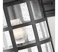HINKLEY Freeport L outdoor wall light lantern black 1-bulb