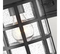 HINKLEY Freeport M outdoor wall light, lantern, black