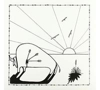 Hinson Micah P. - - Broken Arrows